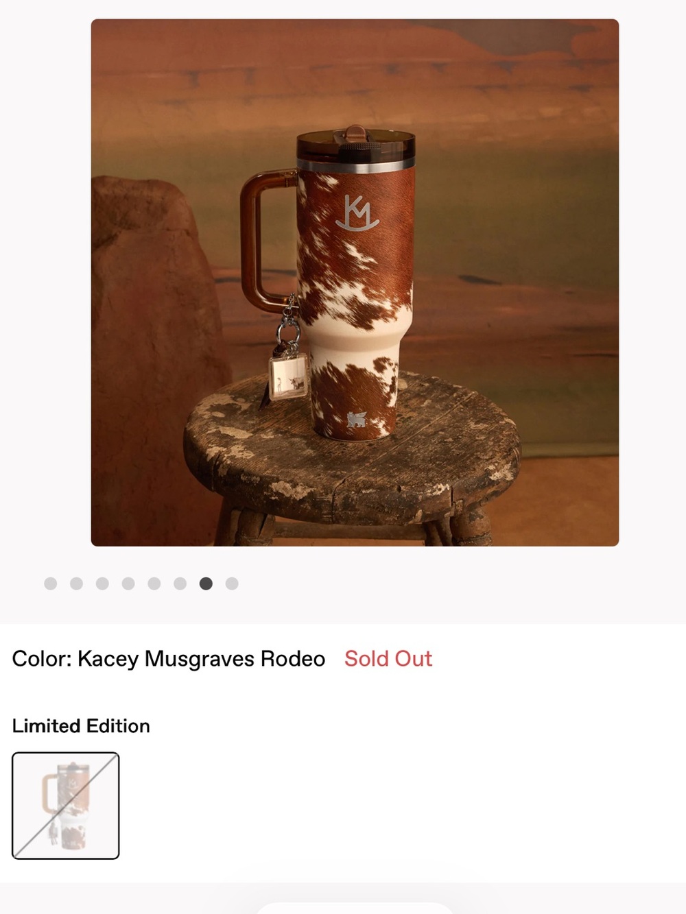 The Kacey Musgraves x Stanley 1913 Quencher® ProTour Flip Straw Tumbler | 40 OZ - Picture 4 of 8